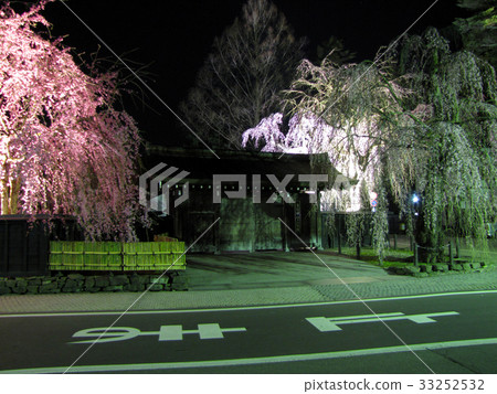 Square of samurai residence and cherry blossoms at night 33252532