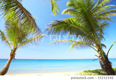 in paradise 33252548