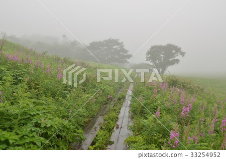 Yanagiran Nagano Prefecture Kirigamine plateau Yanagiran Nagano Prefecture Kirigamine plateau 33254952