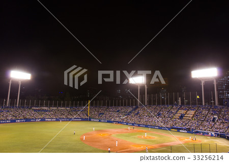 Jingu Stadium, night game 33256214