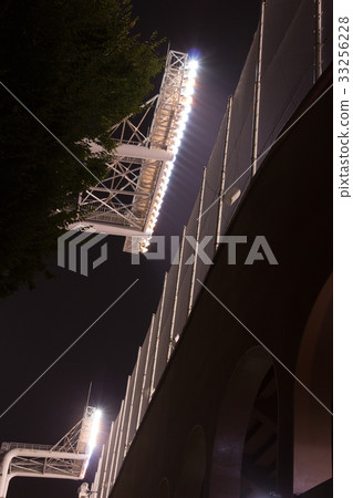 Jingu Stadium, night game 33256228