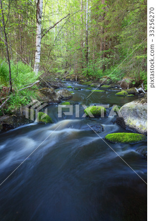 Small stream in forest 33256270