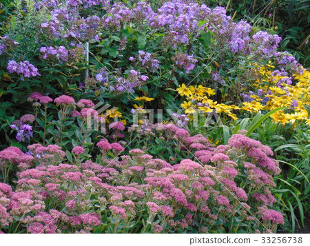 English garden in the late summer English garden in the late summer 33256738
