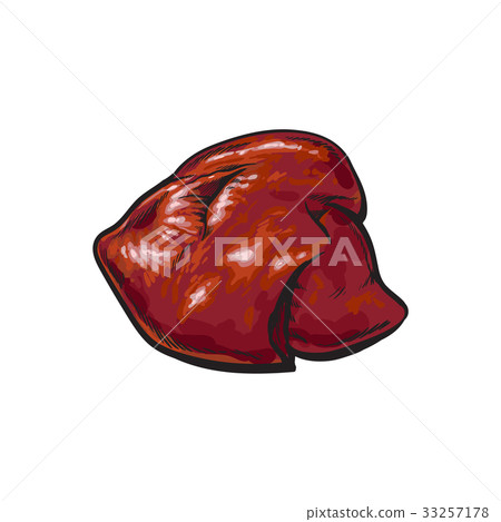 vector pork raw liver offal sketch isolated 33257178