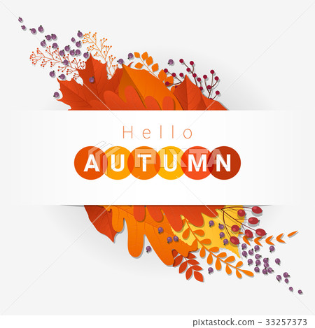 Colorful autumn leaves and fruits background - Stock Illustration ...