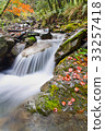 The beautiful autumn scenery of the maple leaf in the mountains of central Taiwan is located at 108K. 33257418