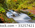 The beautiful autumn scenery of the maple leaf in the mountains of central Taiwan is located at 108K. 33257421