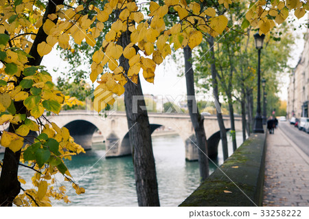 Autumn yellow leaves on the trees, overlooking the 33258222