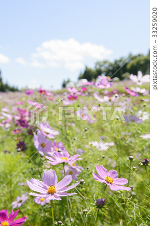 一邊是宇宙 33259020