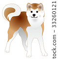 秋田犬 秋田犬 33260121