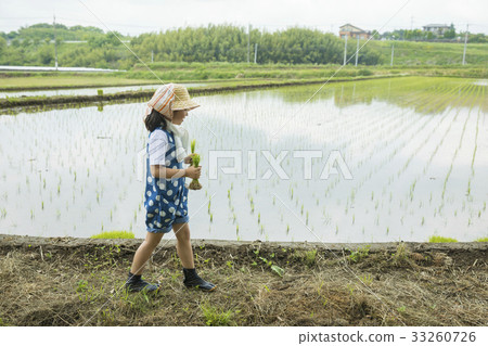 水稻種植經驗形象 33260726