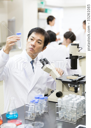 Science Science 33261085