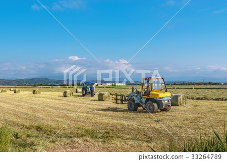 草甸風景 33264789