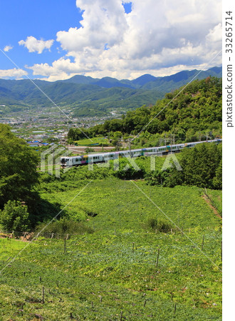 Vineyards of Yamanashi and Katsunuma in summer Vineyards of Yamanashi and Katsunuma in summer 33265714