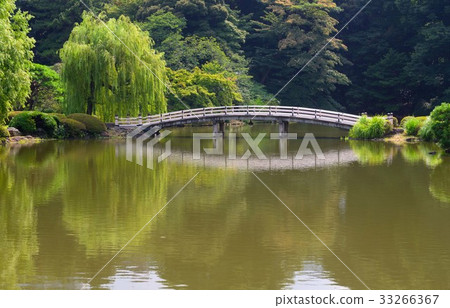 橋的陰影反映在池塘的水面上 33266367