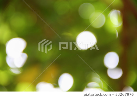 Bokeh natural color background Warm Filter leaf Bokeh natural color background Warm Filter leaf 33267976