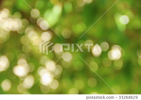 Bokeh natural color background, colorful leaf Bokeh natural color background, colorful leaf 33268629