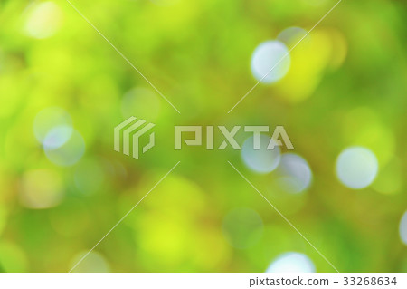 Bokeh natural color background, colorful leaf  33268634