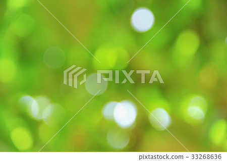 Bokeh natural color background, colorful leaf  33268636