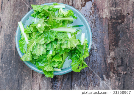 Chinese cabbage organic vegetables Soak and wash Chinese cabbage organic vegetables Soak and wash 33268967