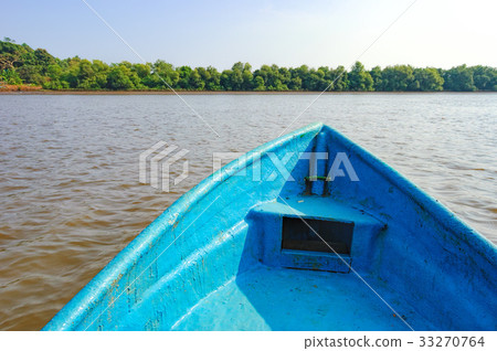 Kayaking in tropical mangrove tunnels Kayaking in tropical mangrove tunnels 33270764