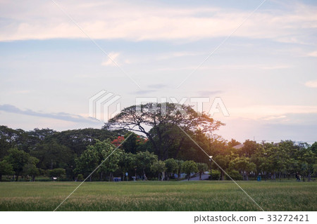 Lawn and trees with the sky. Lawn and trees with the sky. 33272421