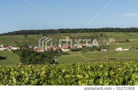 Leuvrigny Vineyards Vallee de la Marne 33272908