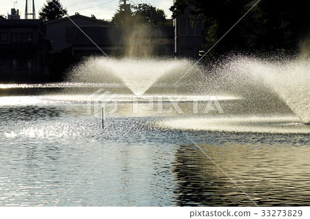 A moat in the summer Chiaki park Hirokoji A moat in the summer Chiaki park Hirokoji 33273829