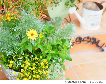 好種植 好種植 33275362