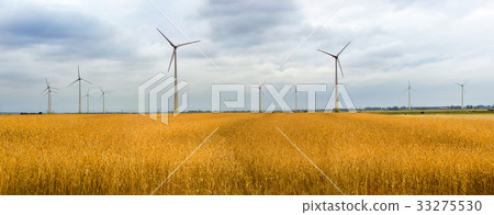 Wind turbine among golden ears of grain crops 33275530