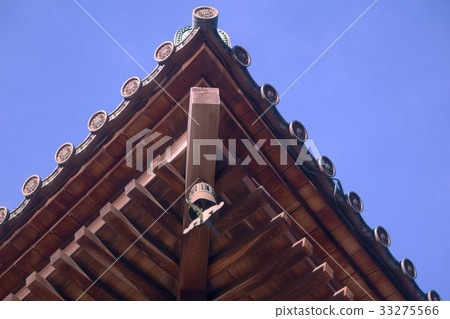 Miya carpenter 33275566