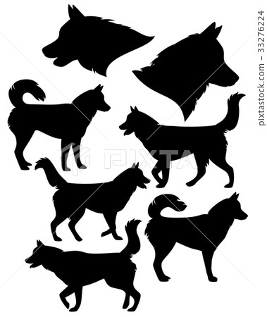 husky dog black vector silhouette set 33276224