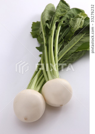 蕪菁 33276232