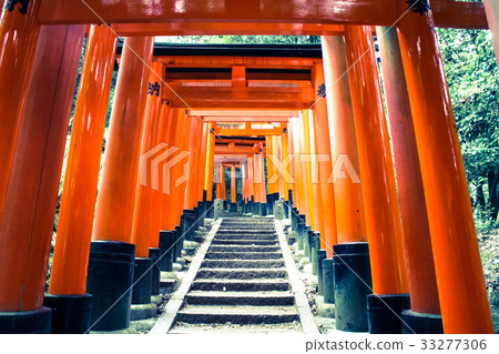 Fushimi-Inari Taisha  33277306
