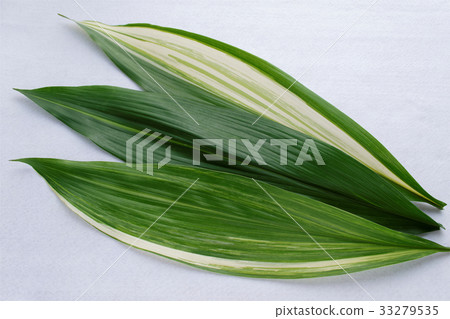 Haran Haran 33279535