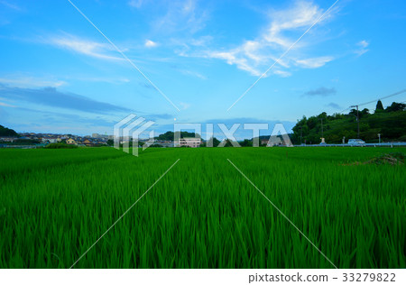 Agriculture in the suburbs of Japan 33279822