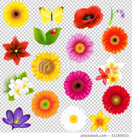 Big Flowers And Leaf Set Big Flowers And Leaf Set 33280033