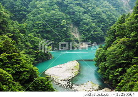 Shizuoka, Sumata Gorge, dream suspension bridge 33280564