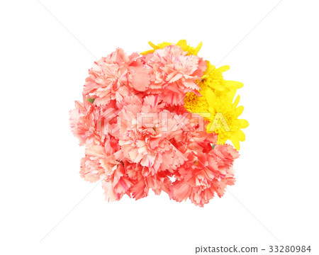 朱利葉斯雛菊和康乃馨花束 朱利葉斯雛菊和康乃馨花束 33280984