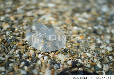 海洋月亮1 33283751