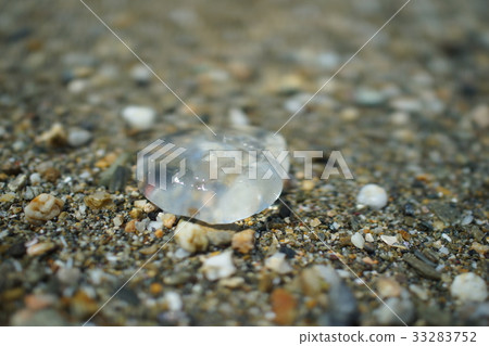 海洋月亮2 33283752