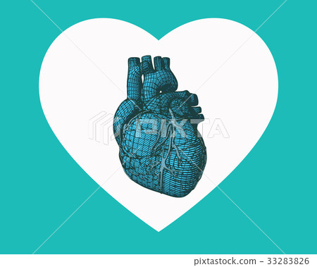Blue human heart wireframe on heart symbol shape Blue human heart wireframe on heart symbol shape 33283826