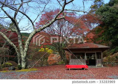 Hakuryuen Japanese Garden Autumn Kyoto Hakuryuen Japanese Garden Autumn Kyoto 33283969