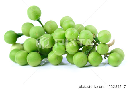 thai eggplant on white background 33284547