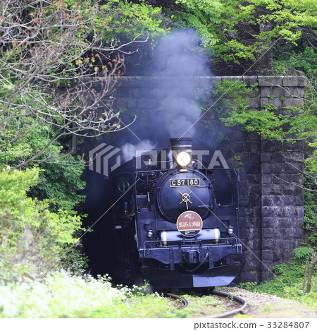 禁止海外線SL新鮮綠色 33284807