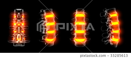 3d rendering of spine structure 33285613