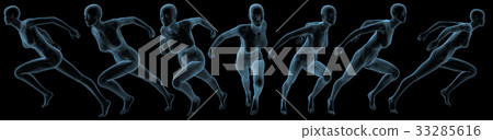 3D rendering illustration of the human anatomy 33285616