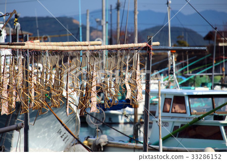 出版材料 33286152