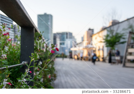 Tennozu Canal 33286671