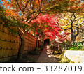 Momiji tunnel 33287019